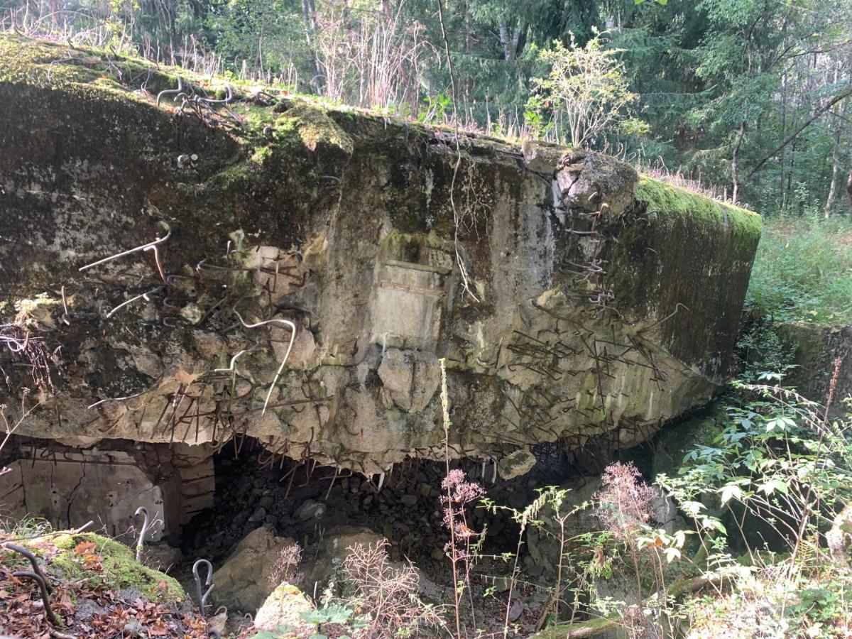 Agroturystyka Gesiniec Stare Osieczno Dış mekan fotoğraf
