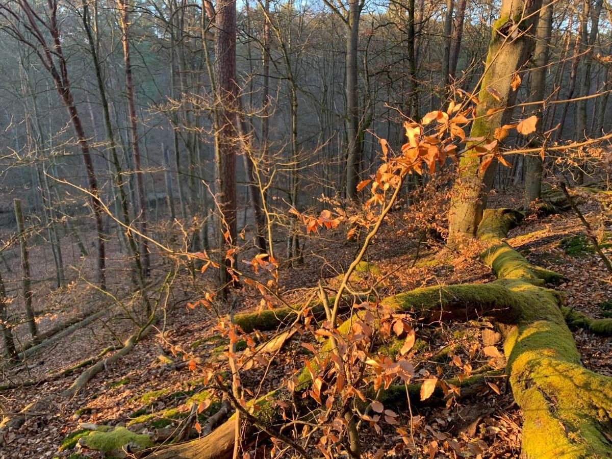 Agroturystyka Gesiniec Stare Osieczno Dış mekan fotoğraf