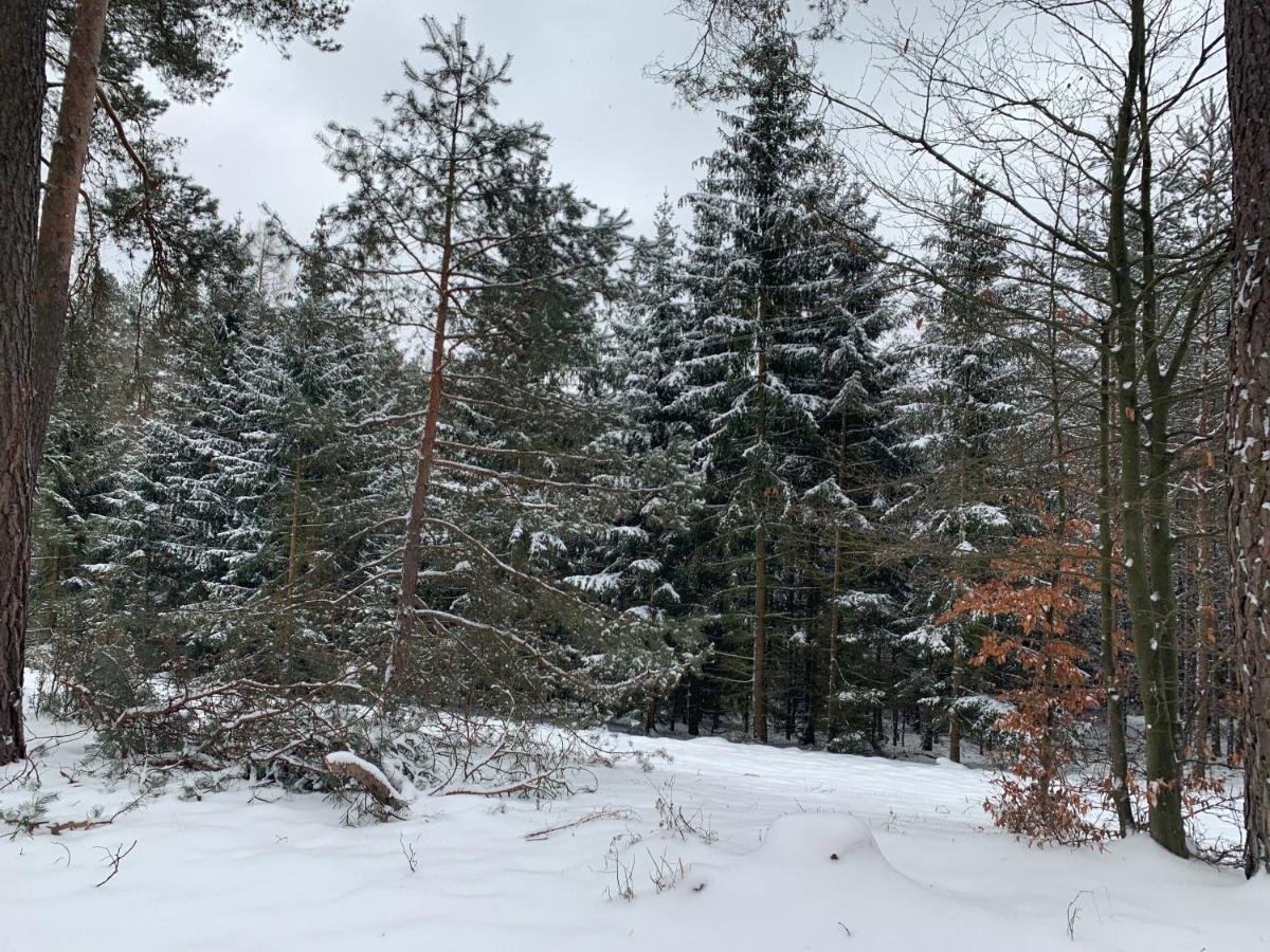 Agroturystyka Gesiniec Stare Osieczno Dış mekan fotoğraf