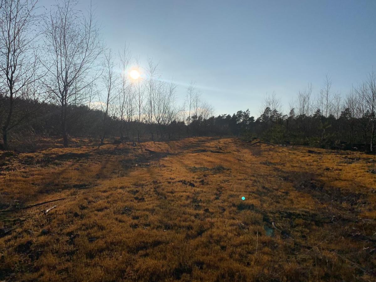 Agroturystyka Gesiniec Stare Osieczno Dış mekan fotoğraf