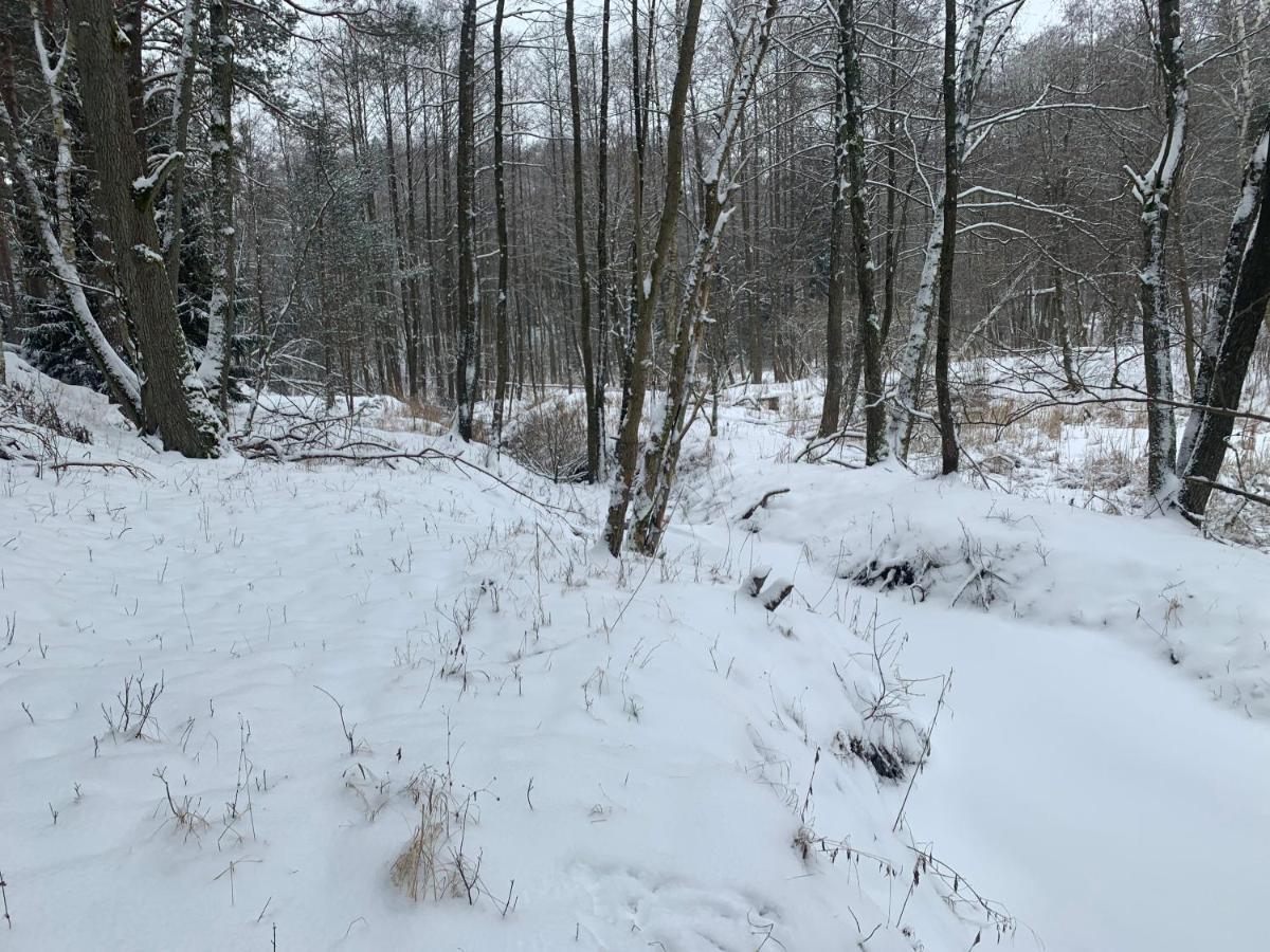 Agroturystyka Gesiniec Stare Osieczno Dış mekan fotoğraf