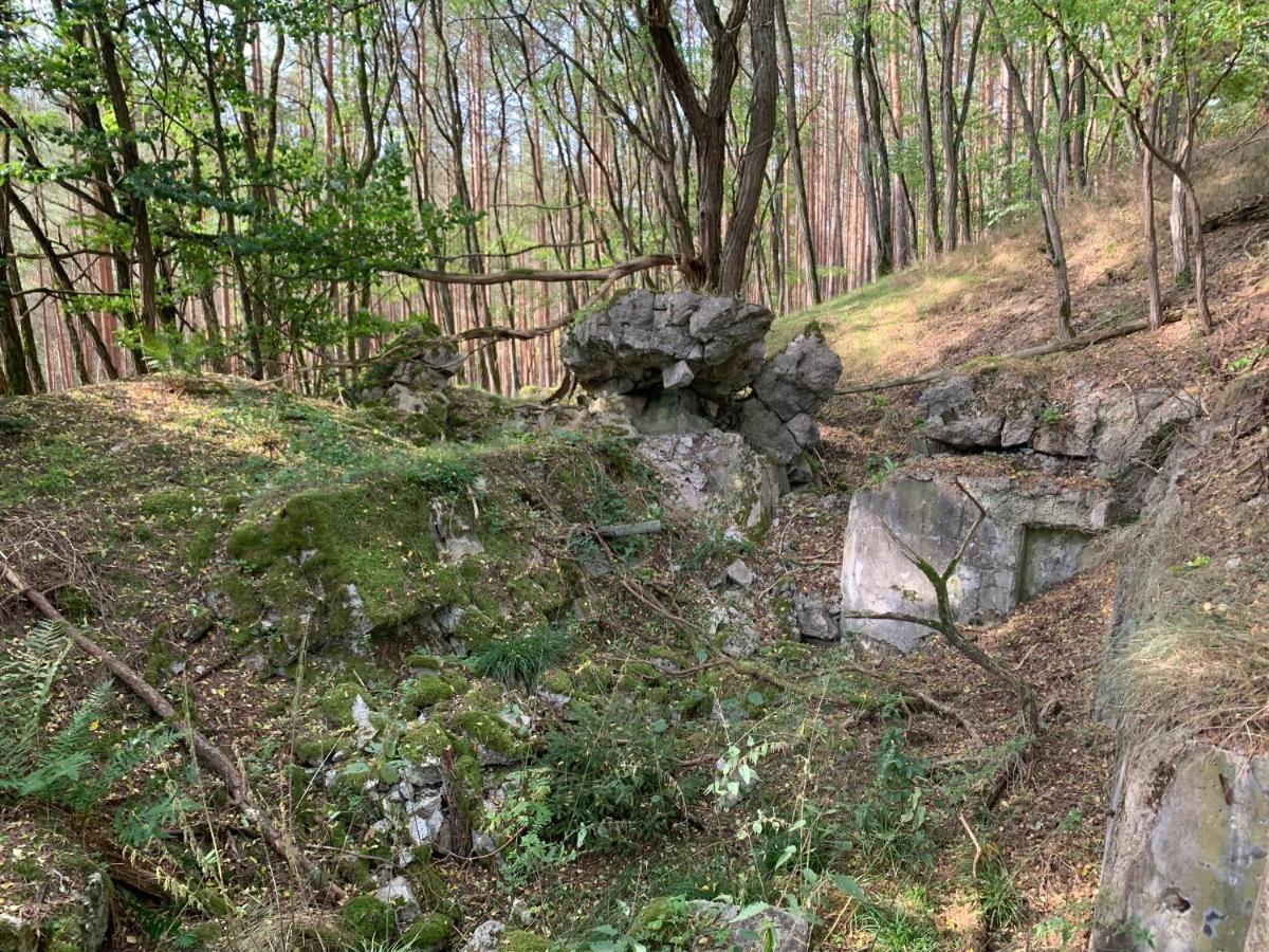 Agroturystyka Gesiniec Stare Osieczno Dış mekan fotoğraf