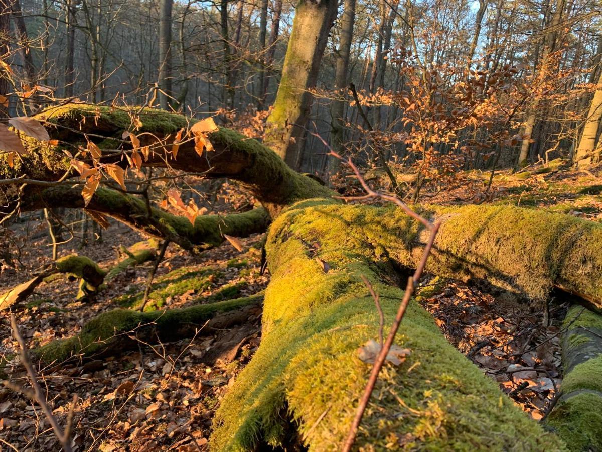 Agroturystyka Gesiniec Stare Osieczno Dış mekan fotoğraf