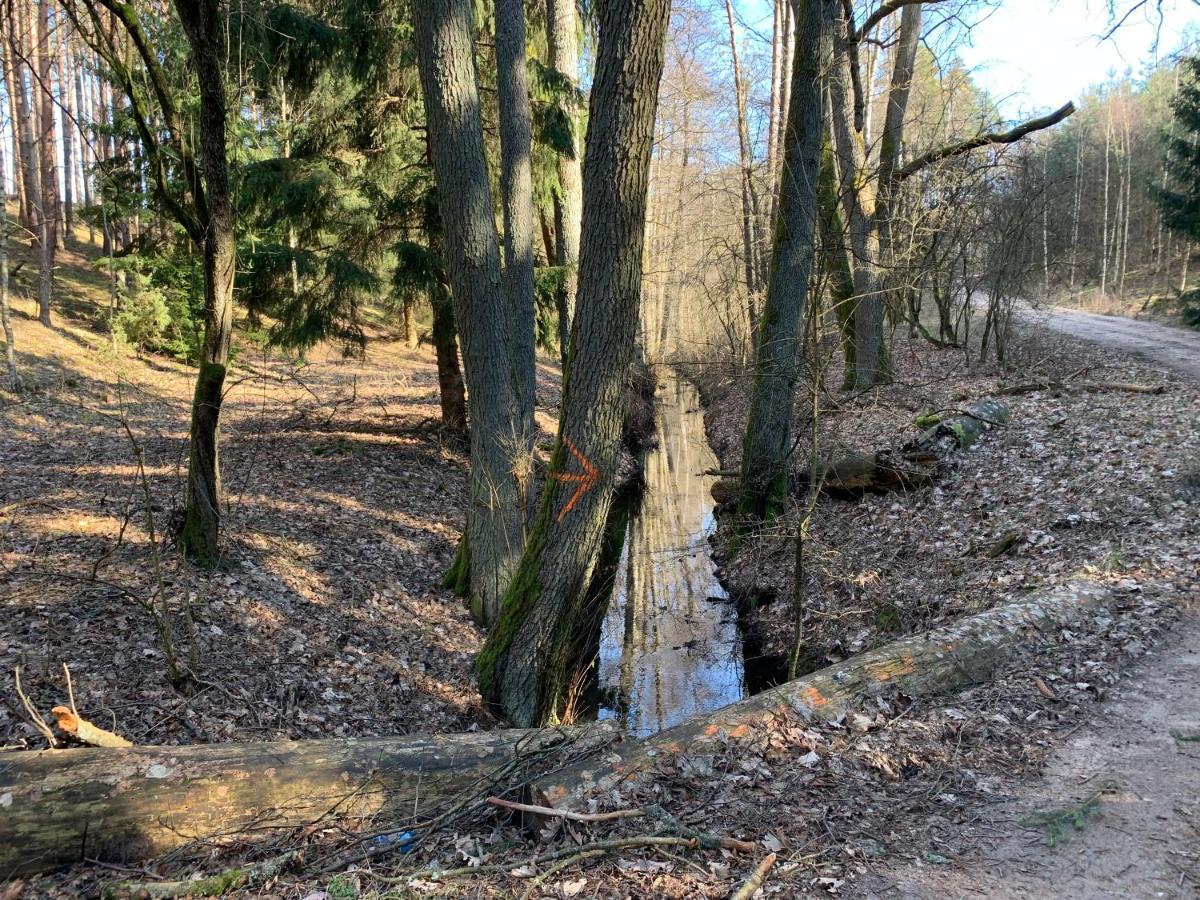 Agroturystyka Gesiniec Stare Osieczno Dış mekan fotoğraf