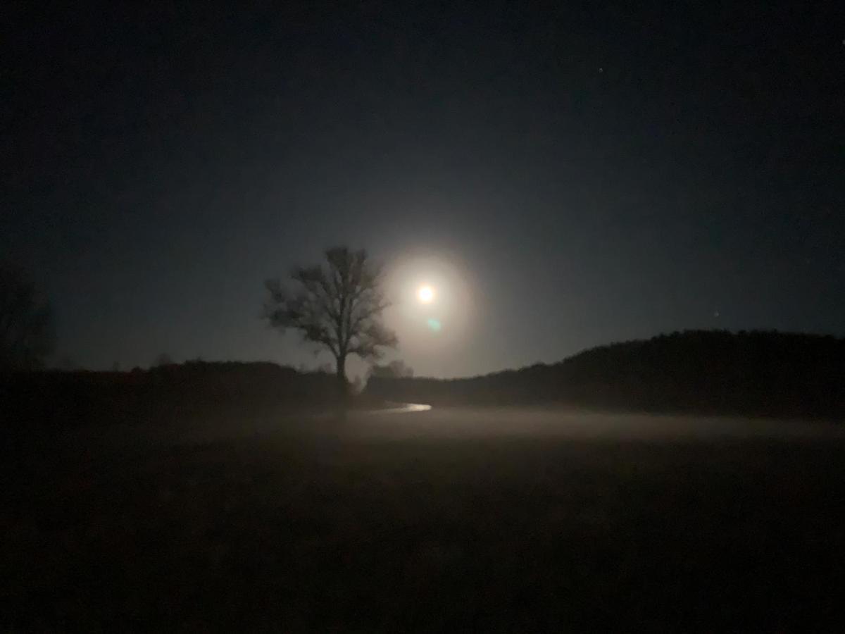 Agroturystyka Gesiniec Stare Osieczno Dış mekan fotoğraf